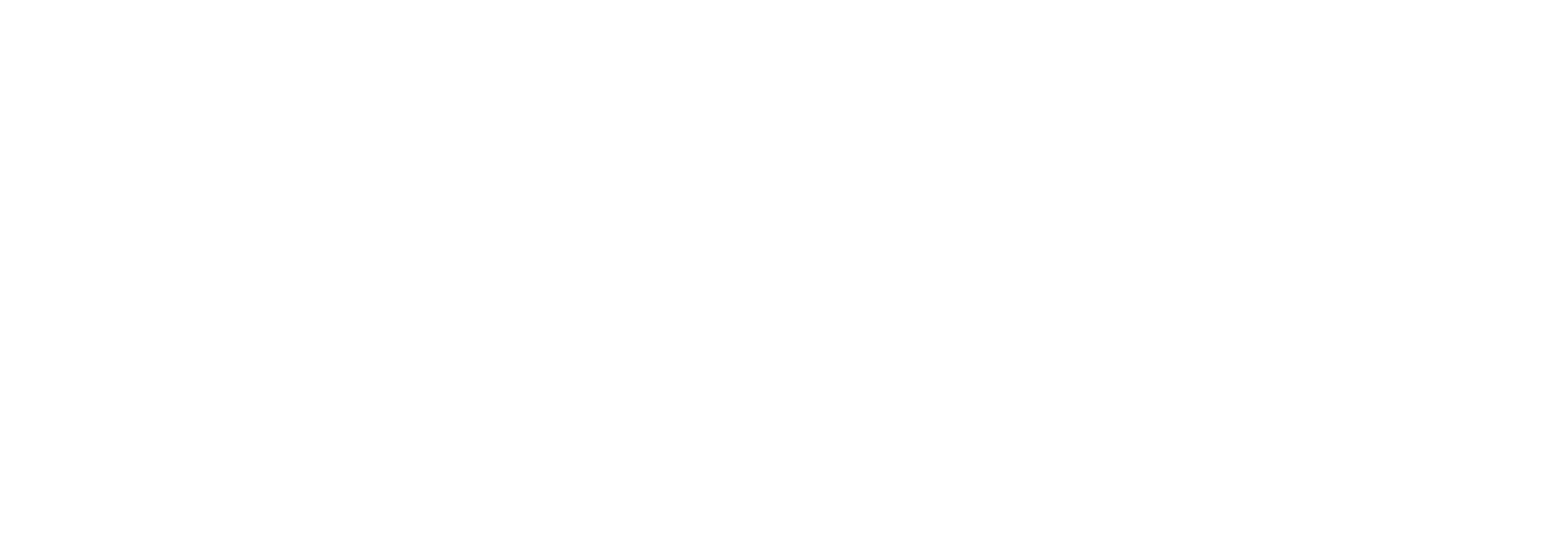 Scan Carbone Logo